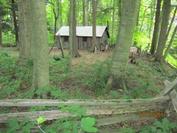 summer view of cabin and campsite