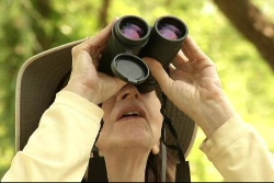 birdwatching