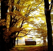 photo of our maple sugar shack