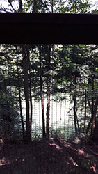 Eagles Nest (Treehouse) Cabin