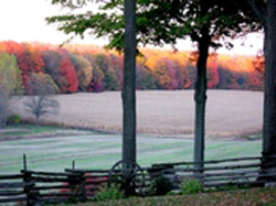 photo of fall colours on the fence line
